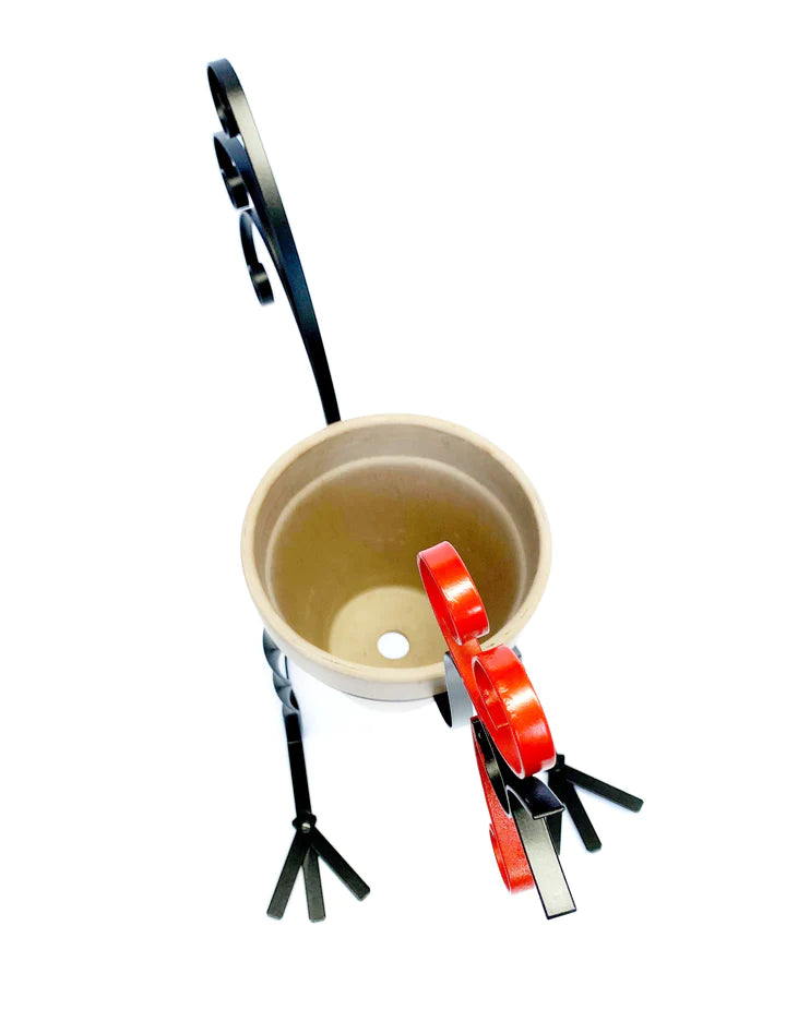 Free Instructions - How to Make COCKEREL PLANTER Project picture 2