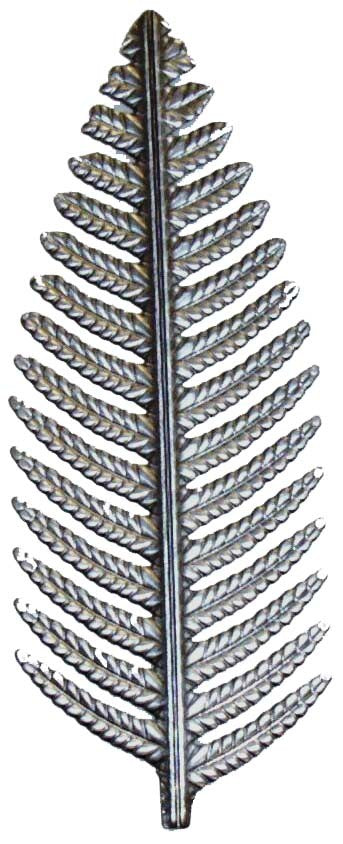 Metal Stamping Pressed Stamped Steel Fern Leaf .020" Thickness L53