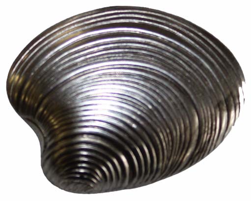 Metal Stamping Pressed Stamped Steel Seashell .020" Thickness SE23 approx. size 1 7/16"w x 1 1/8"h.