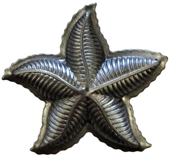 Metal Stamping Pressed Stamped Steel Small Starfish .020" Thickness SE7