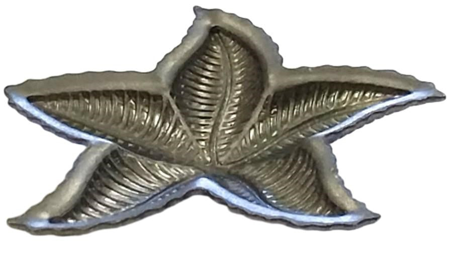 Side view of Metal Stamping Pressed Stamped Steel Small Starfish .020" Thickness SE7