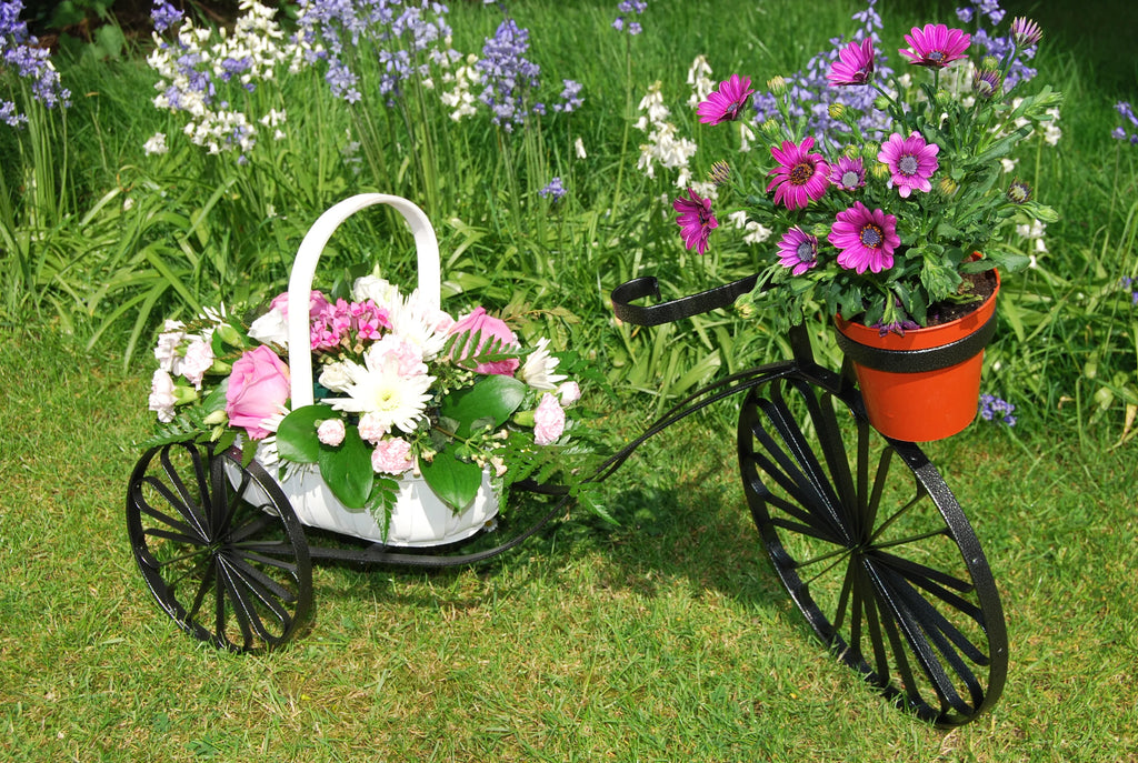 Free Instructions - How to Make TRICYCLE PLANTER Project