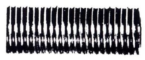 Running Thread Nipple 1/8 PT x 1"