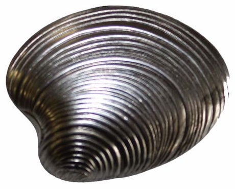 Metal Stamping Pressed Stamped Steel Seashell .020" Thickness SE23  approx. size 1 7/16"w x 1 1/8"h.